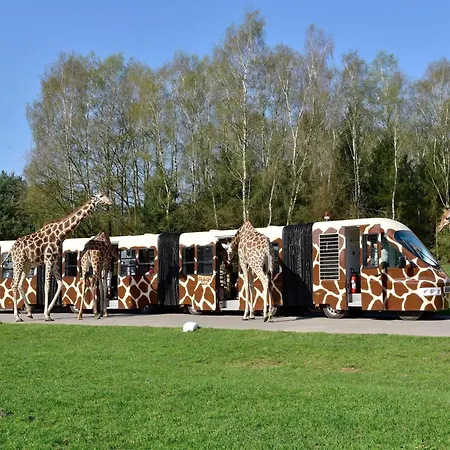Luxury tent Zelte Im Safari Park