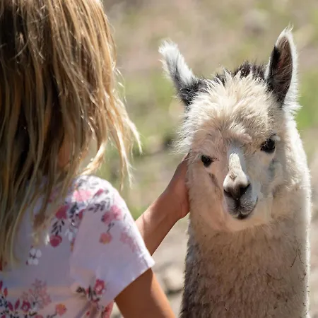 Luksusowy namiot Zelte Im Safari Park *