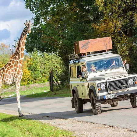 Zelte Im Safari Park * Hodenhagen